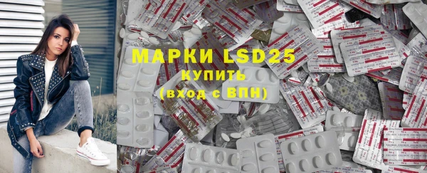индика Лихославль