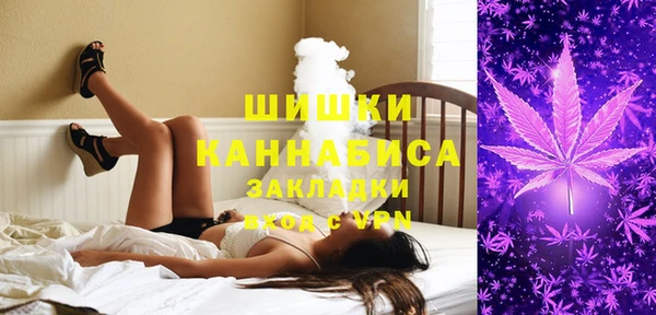 индика Лихославль