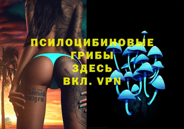 твердый Саки