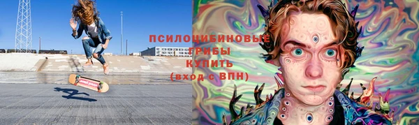 индика Лихославль