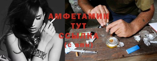 индика Лихославль