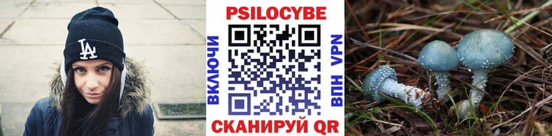 Галлюциногенные грибы Cubensis  Суровикино 