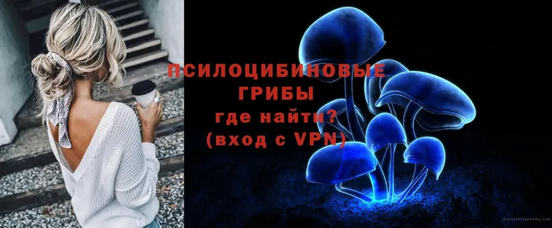 Галлюциногенные грибы MAGIC MUSHROOMS Суровикино
